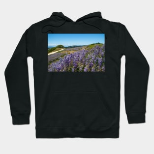 Lupine blooming on the hills Hoodie